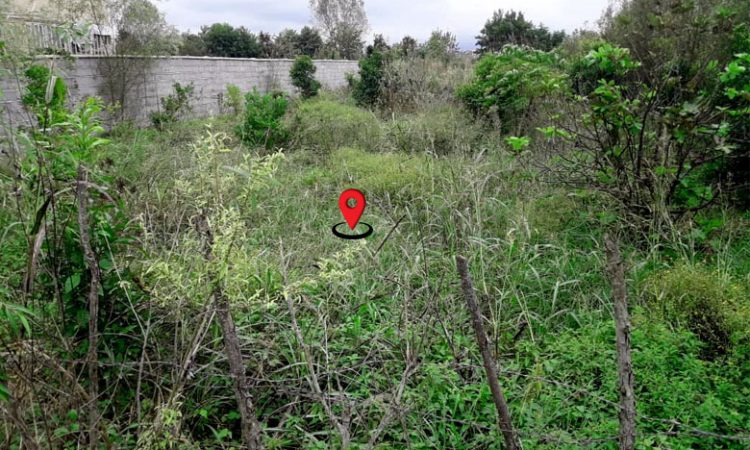 زمین مسکونی