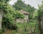 باغ چای با چشم انداز کوه