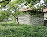 باغ چای با چشم انداز کوه