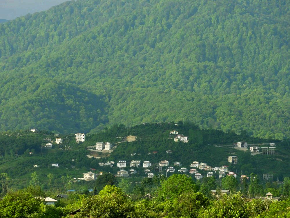 دینارسرا دینارسرا