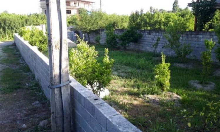 قیمت و خرید زمین تنکابن