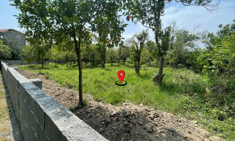 خرید باغ مرکبات تنکابن