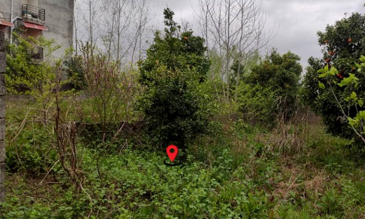 خرید زمین تنکابن