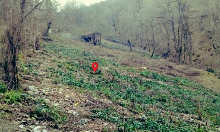 خرید زمین تنکابن