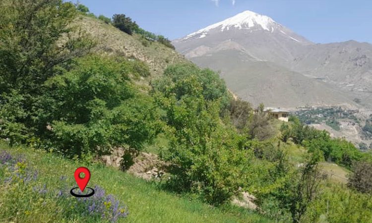 خرید زمین آمل