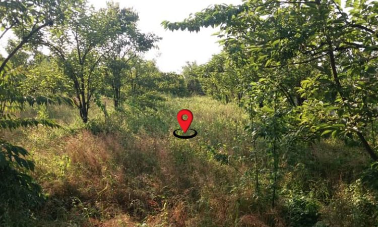 خرید باغ تنکابن