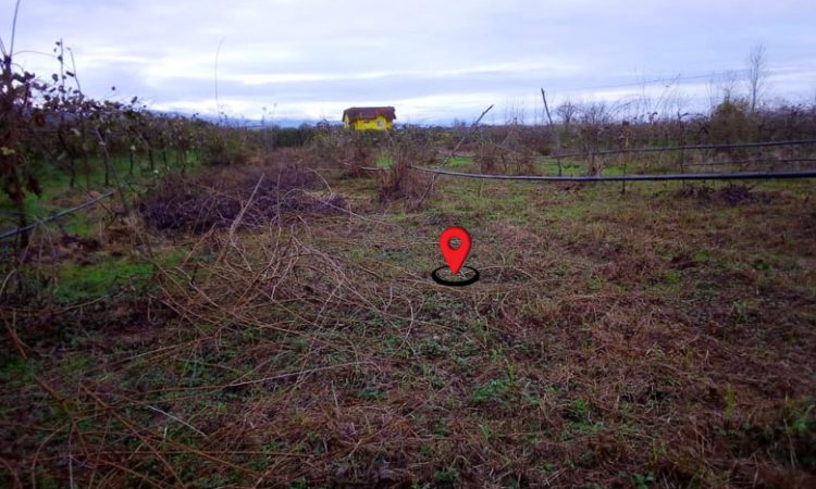 خرید زمین تنکابن