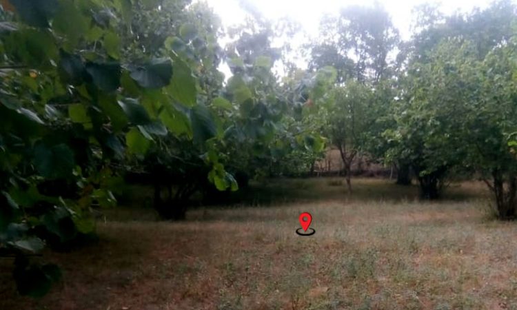 خرید زمین تنکابن