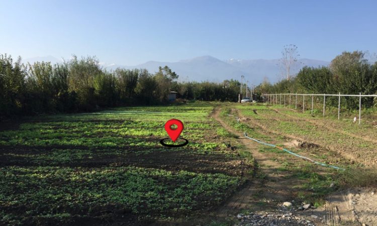 خرید زمین تنکابن