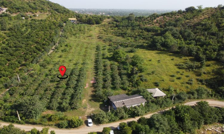 خرید زمین تنکابن