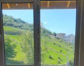 چشم انداز کوه