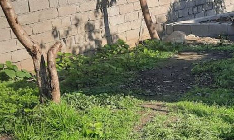 زمین تجاری 75 متری تنکابن