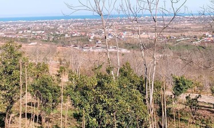 زمین با چشم انداز کوه و دریا