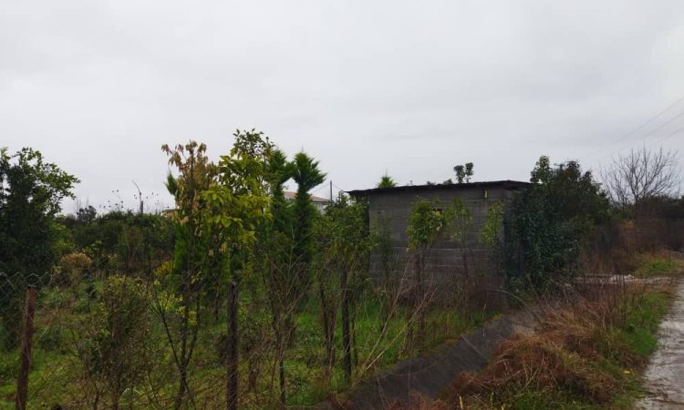 زمین با چشم انداز عالی