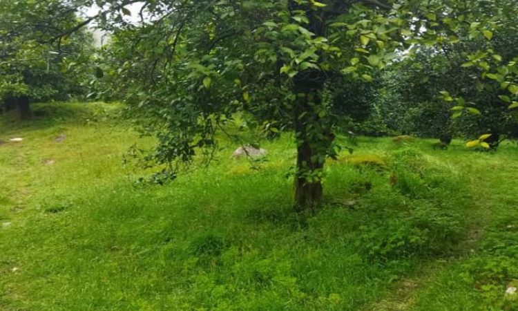 زمین با چشم انداز عالی