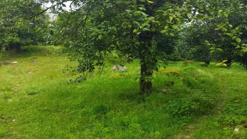 زمین با چشم انداز عالی