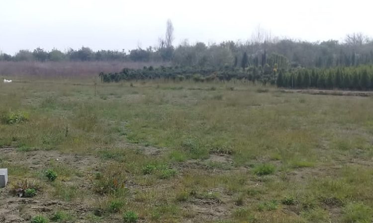 زمین با چشم اندازعالی