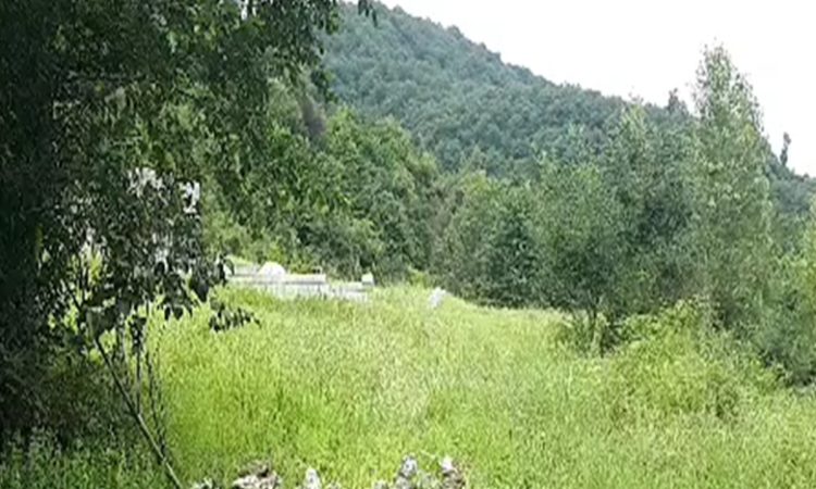 زمین تنکابن با قیمت عالی