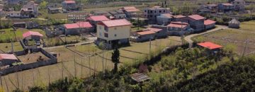 تصویر از باغ پرتقال