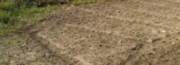 زمین مسکونی