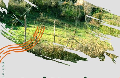 تشخیص اراضی ملی چیست؟