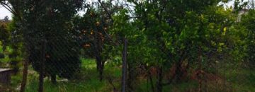 زمین با چشم اندازعالی