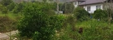 زمین با چشم انداز عالی