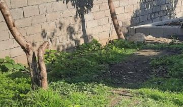 تنکابن لشتو