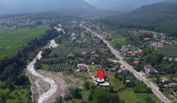 جنگل دوهزار