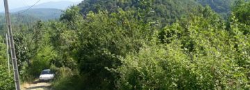 زمین با چشم انداز کوه و دریا