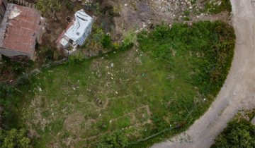 تصویر زمین مسکونی سرسبز