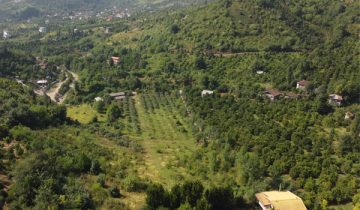 خرید زمین تنکابن