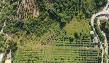 زمین های سودآور