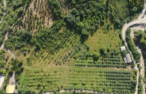 زمین های سودآور