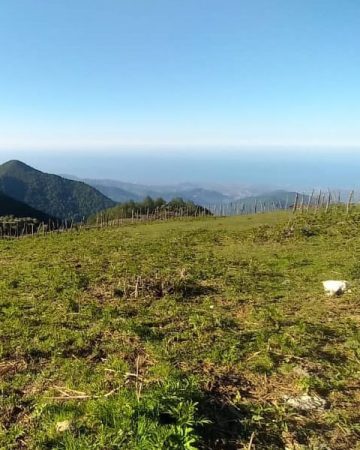 خرید زمین تنکابن