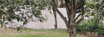 زمین با چشم انداز عالی