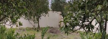 زمین با چشم انداز عالی