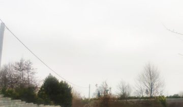 زمین با چشم انداز عالی