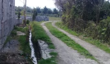 زمین قیمت مناسب در تنکابن