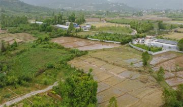 تصویر زمین کشاورزی