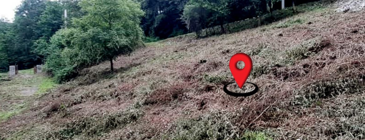 زمین کوهپایه ای