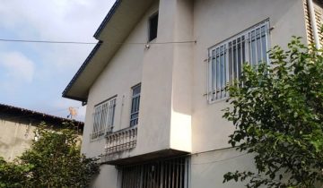 باغ کیوی تنکابن