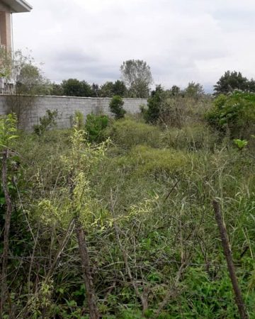 زمین مسکونی