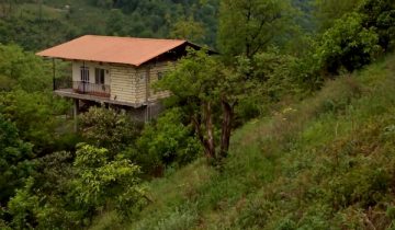 باغ مرکبات کوهپایه ای