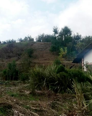 زمین مسکونی