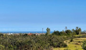 زمین با چشم انداز کوه و دریا