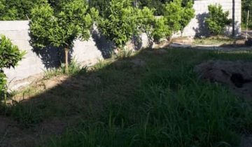 قیمت و خرید زمین تنکابن