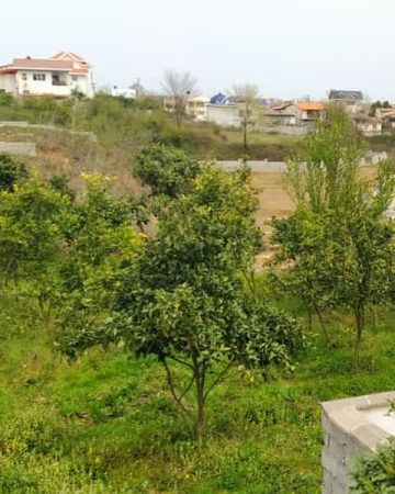 خرید زمین تنکابن