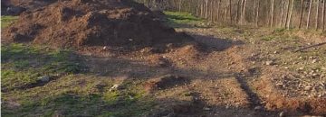 خرید زمین تنکابن