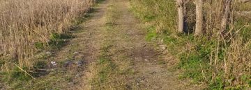 خرید زمین تنکابن